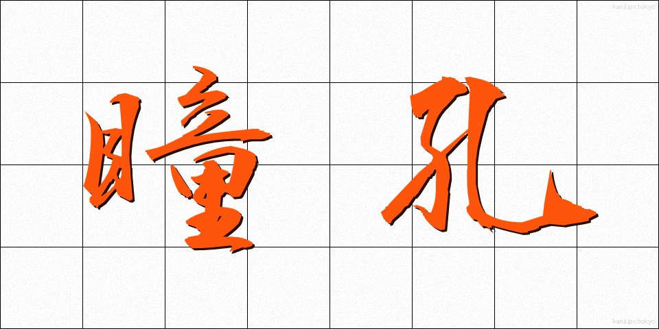 瞳孔 (どうこう)