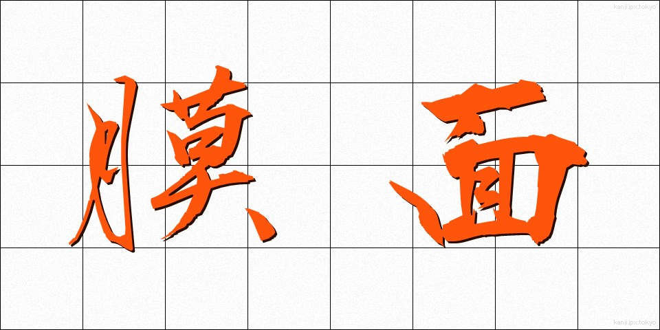 膜面 (まくめん)