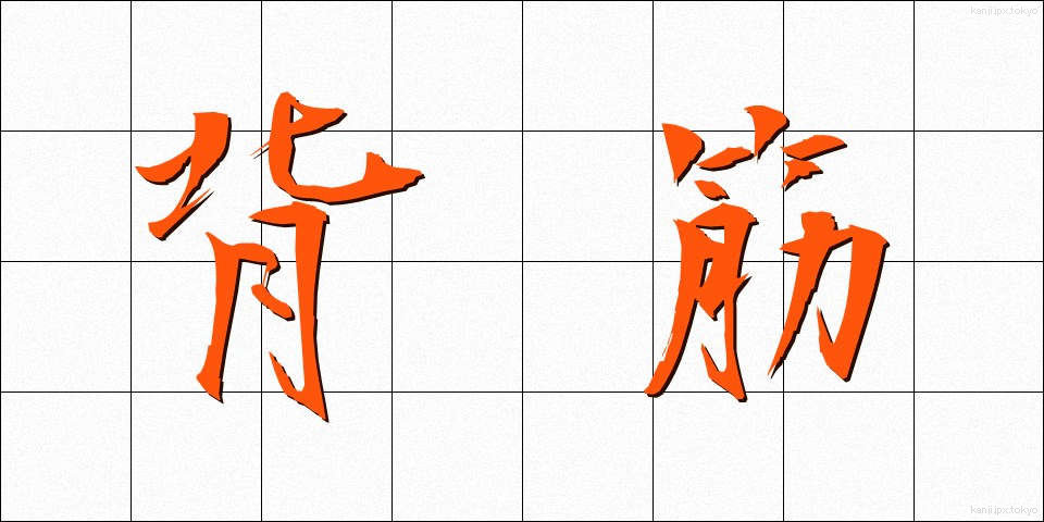 背筋 (せすじ)