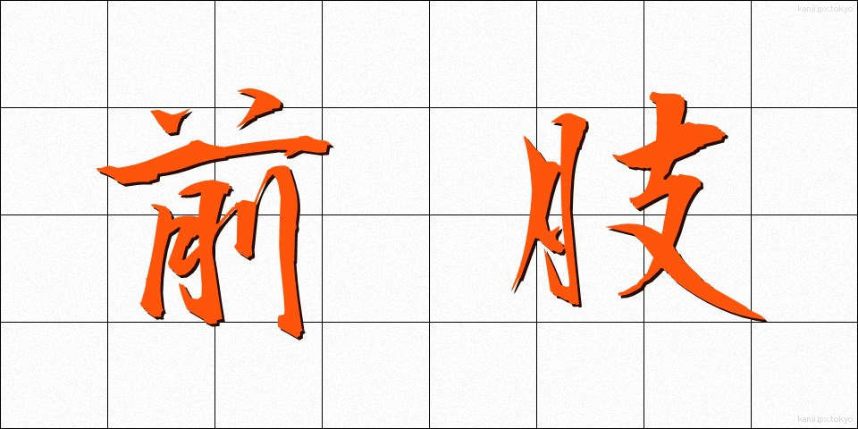 前肢 (ぜんし)