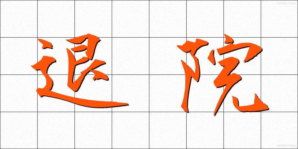 退院 (たいいん)