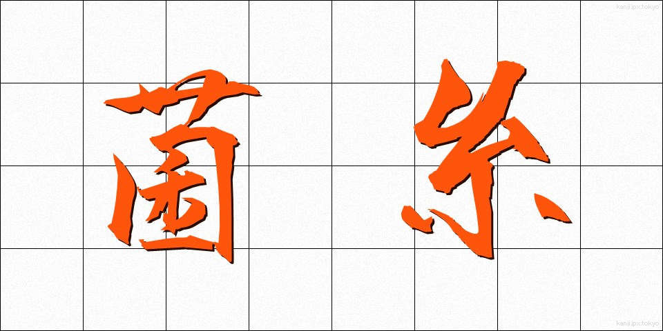菌糸 (きんし)