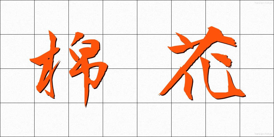 棉花 (めんか)