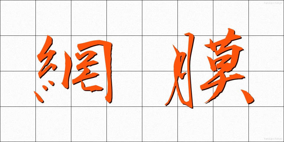 網膜 (もうまく)