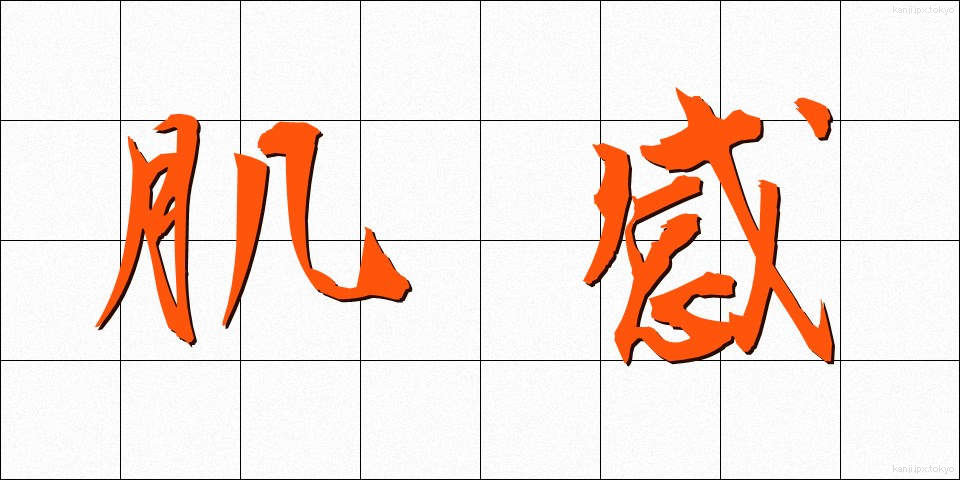 肌感 (はだかん)
