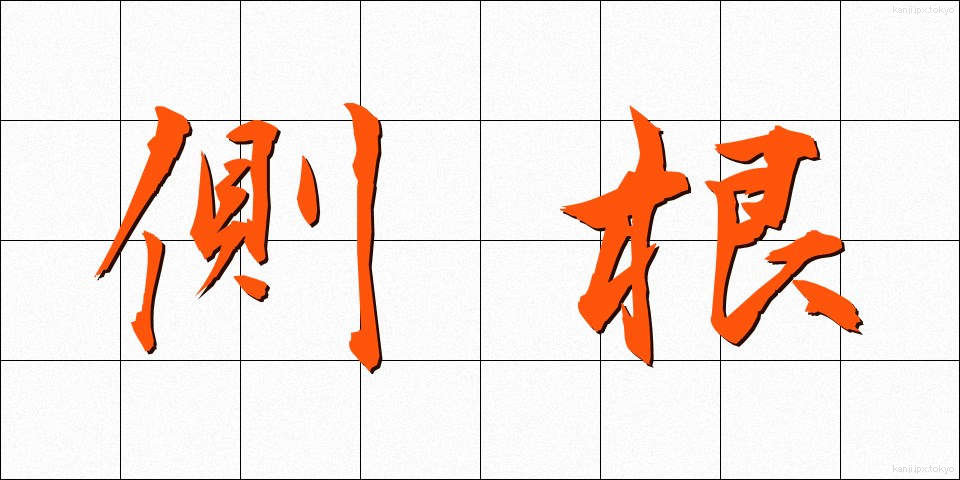 側根 (そっこん)