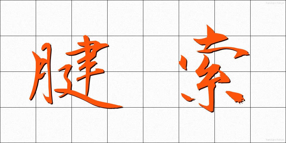 腱索 (けんさく)