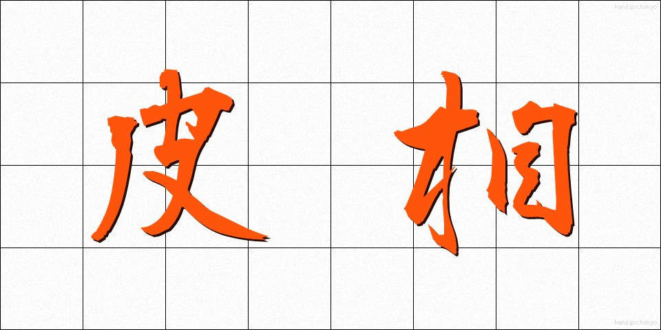 皮相 (ひそう)