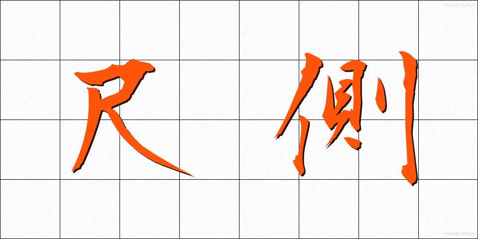 尺側 (しゃくそく)