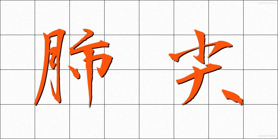 肺尖 (はいせん)