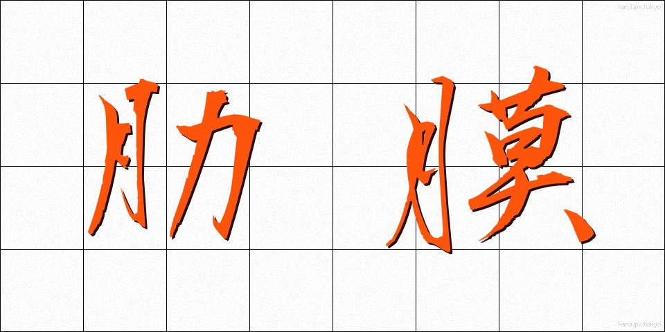 肋膜 (ろくまく)
