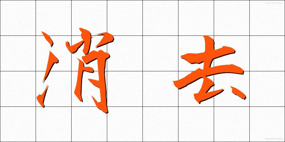 消去 (しょうきょ)