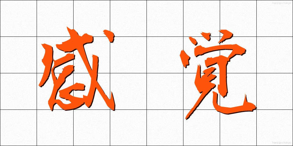 感覚 (かんかく)