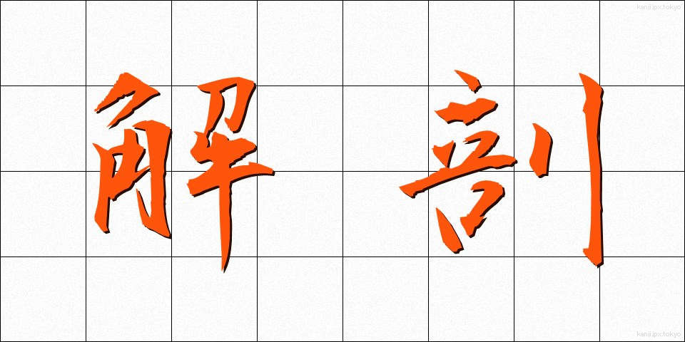 解剖 (かいぼう)