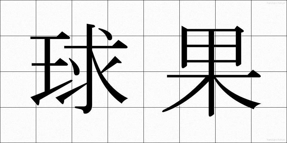 球果 (きゅうか)