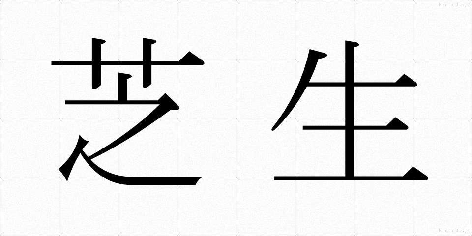 芝生 (しばふ)