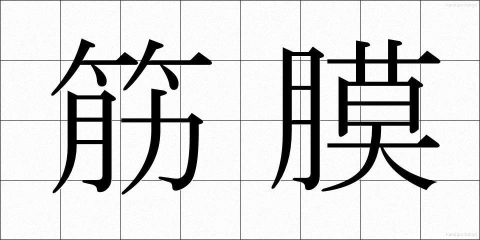 筋膜 (きんまく)