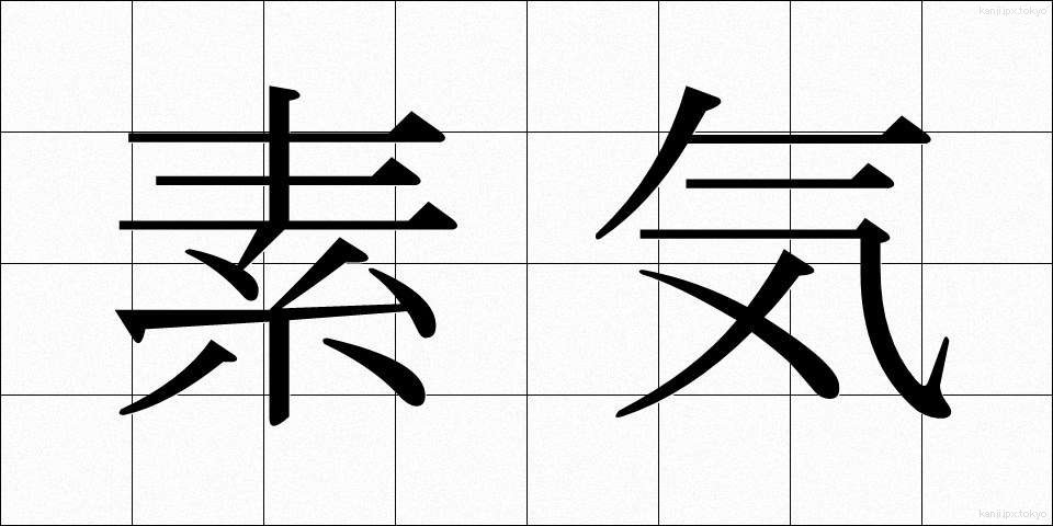 素気 (そっけ)