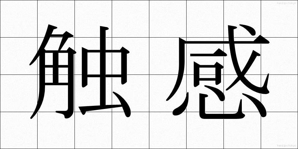 触感 (しょっかん)