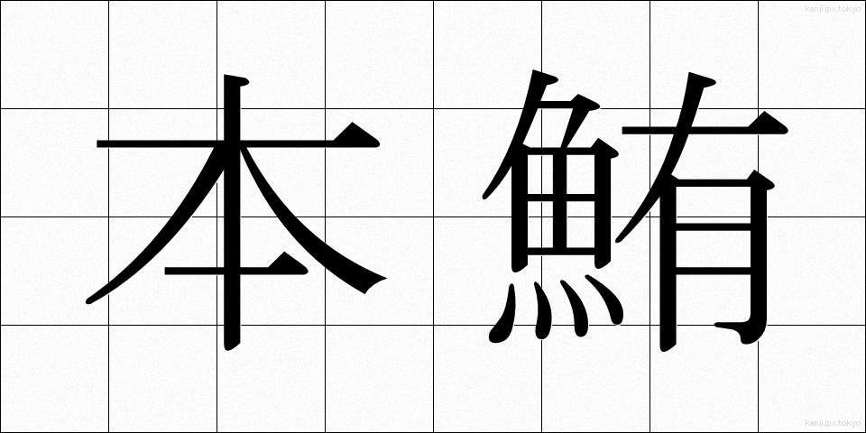 本鮪 (ほんまぐろ)