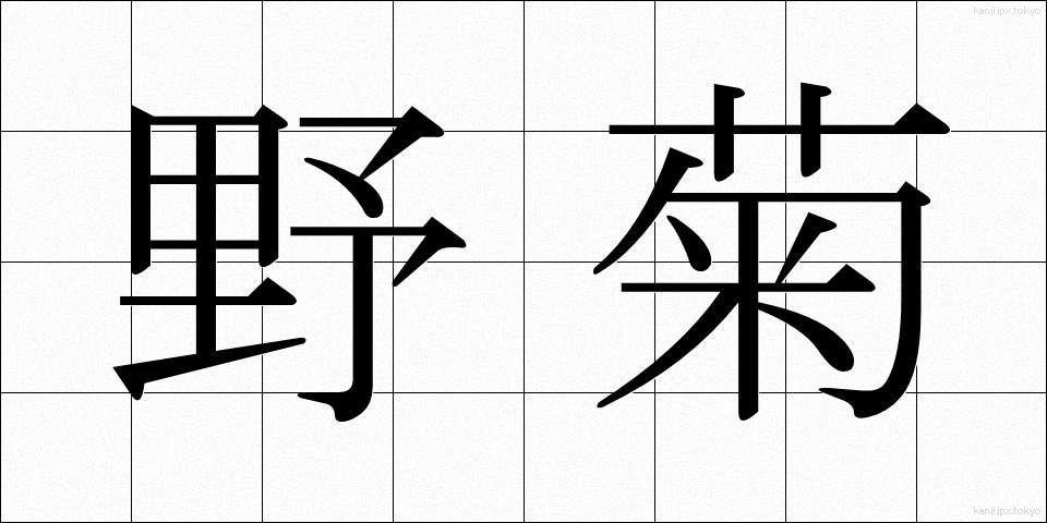 野菊 (のぎく)