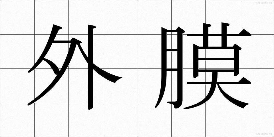 外膜 (がいまく)