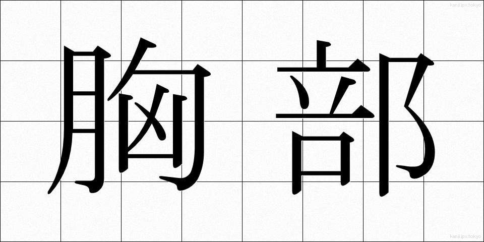 胸部 (きょうぶ)