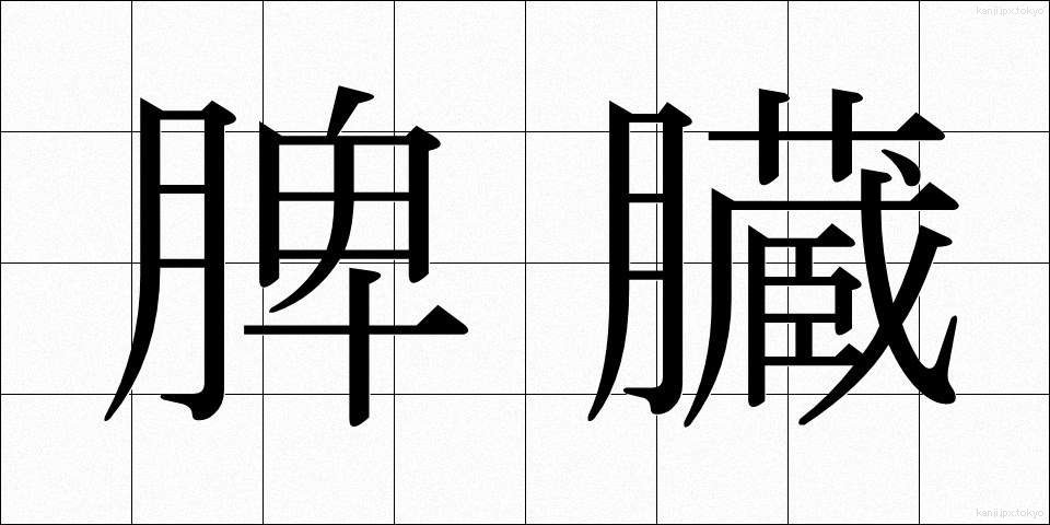 脾臓 (ひぞう)