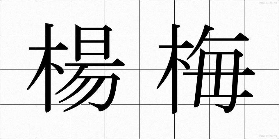 楊梅 (やまもも)