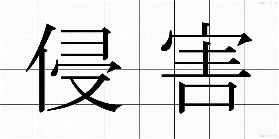 侵害 (しんがい)