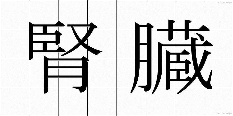 腎臓 (じんぞう)