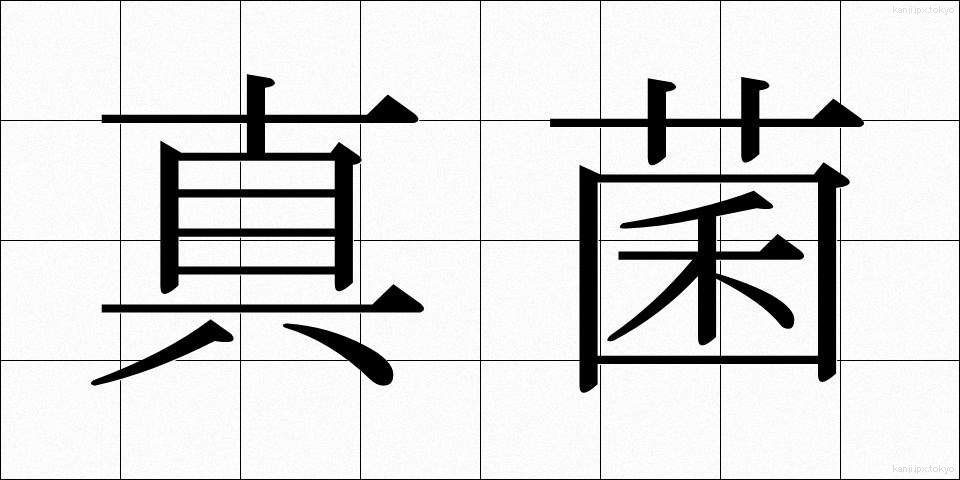 真菌 (しんきん)