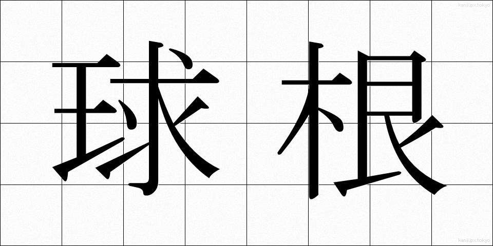 球根 (きゅうこん)