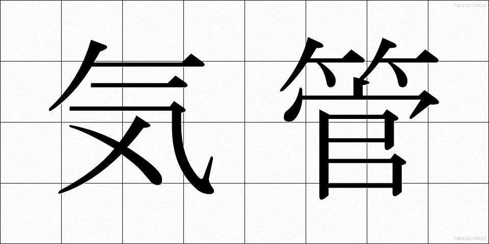 気管 (きかん)