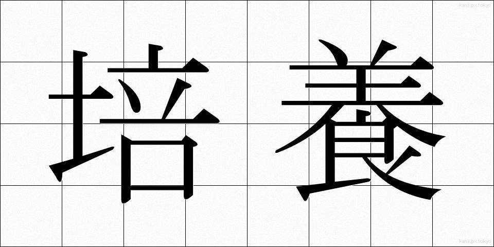 培養 (ばいよう)