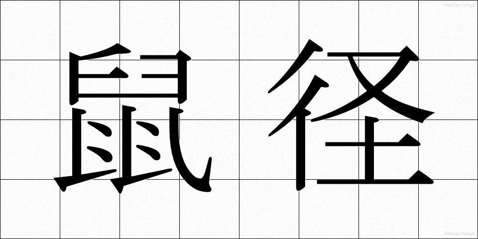 鼠径 (そけい)