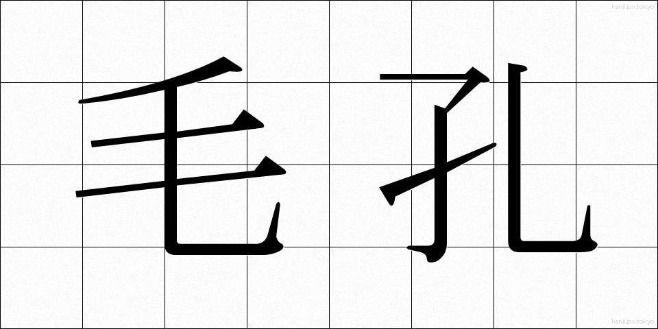 毛孔 (けこう)