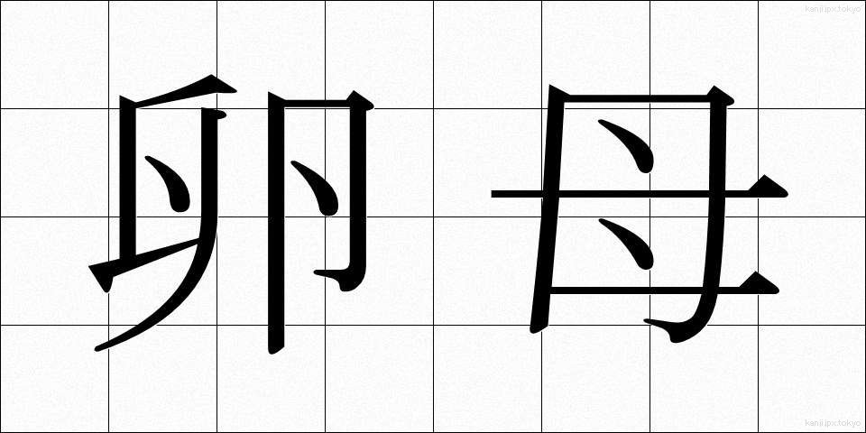 卵母 (らんぼ)