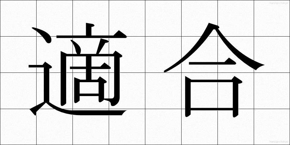 適合 (てきごう)