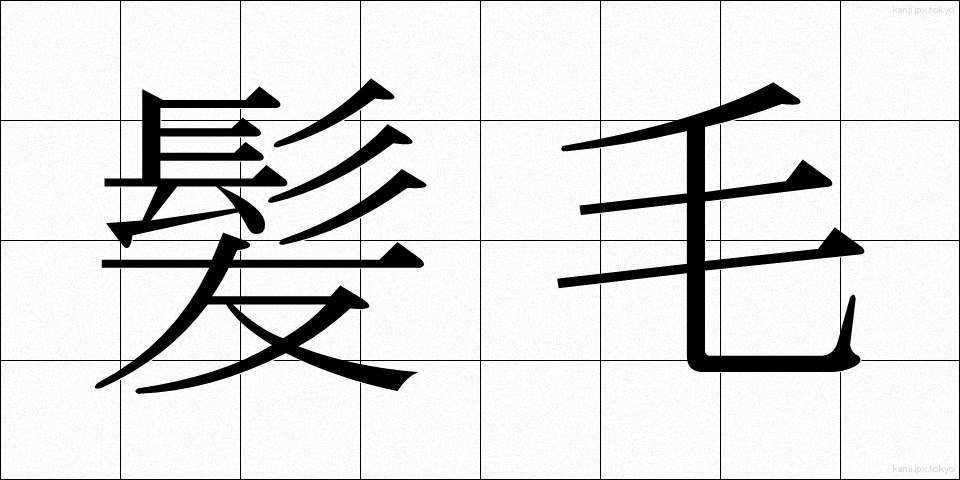 髪毛 (かみけ)