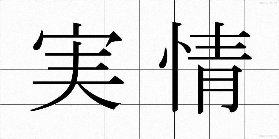 実情 (じつじょう)