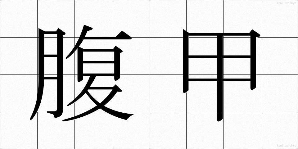 腹甲 (ふくこう)