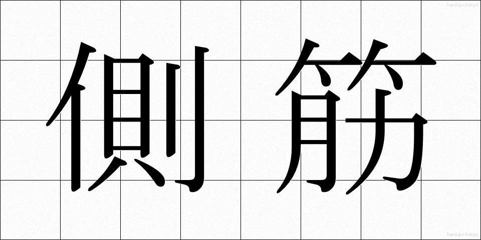 側筋 (そくきん)