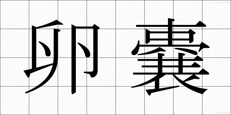 卵嚢 (らんのう)