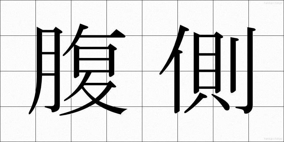 腹側 (ふくそく)