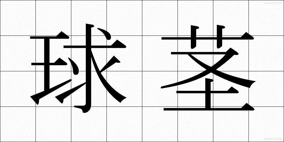 球茎 (きゅうけい)