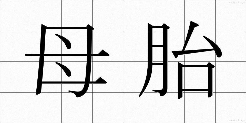 母胎 (ぼたい)