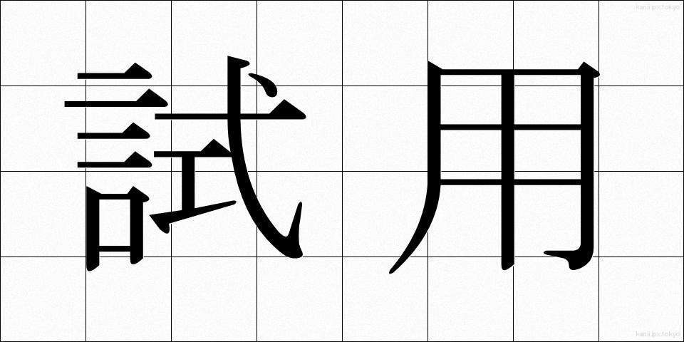 試用 (しよう)