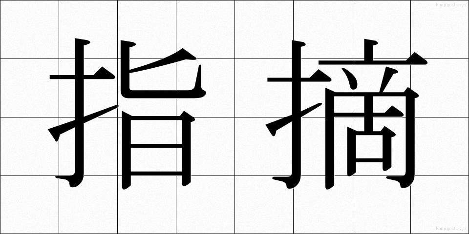 指摘 (してき)