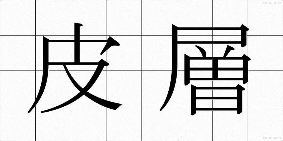 皮層 (ひそう)